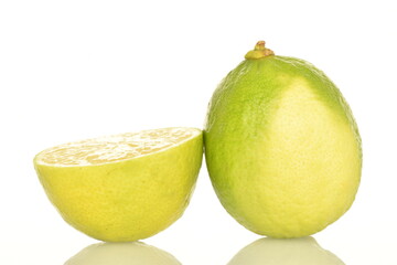One whole and a half of bright green juicy lime, close-up, on a white background.