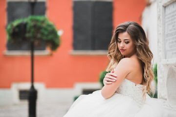 Beautiful luxury bride in elegant white dress