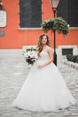 Obraz premium Beautiful luxury bride in elegant white dress