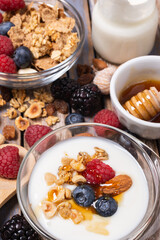 on the rustic wooden background, tasty and healthy breakfast with yogurt, cereals, dried fruit, raspberries, blueberries and blackberries, bowl with forest honey.