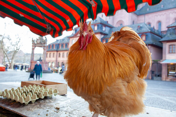 Eggs for sale at the farmer's market of a merchant and a Hen as advertising. People are strolling...
