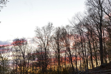 Spring Sunset