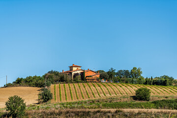 Tuscany, Italy landscape with trees and hilltop house villa with green farm row plants garden in village during summer and blue sky