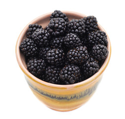 Blackberry berries on a green leaf in a pot.