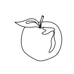 Apple fruit isolated on white background in line art style, doodle and Lines and leaves. Vector illustration drawn by hands in one line
