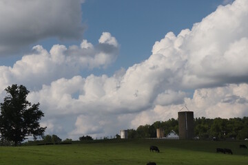 Fototapeta na wymiar High Clouds Over Cow Pasture