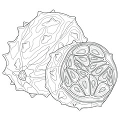 Kiwano fruit.Coloring book antistress for children and adults. Zen-tangle style.Hand draw