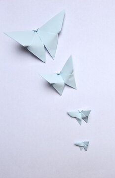 Overhead photo of origami butterflies