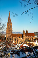 Vom Schlossberg auf das Freiburger Münster