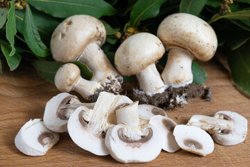 mushrooms on a wooden board