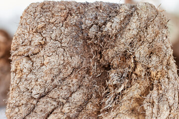Close up texture of chunk of peat piled up for drying. Peat production