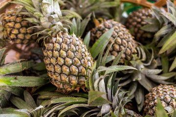 A basket of pineapples on sale in the Asian market. Natural product, healthy dessert.