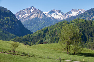 Obraz premium Blick vom Aussichtspunkt Hoffmannsruh auf Berggipfel des Allgäuer Alpenhauptkamms südlich von Oberstdorf