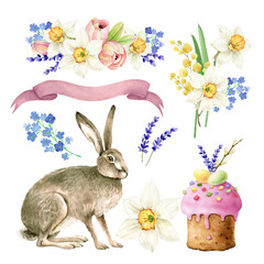 set of watercolor illustrations for Easter holiday with rabbit, spring flowers and Easter cake, hand painted on white background