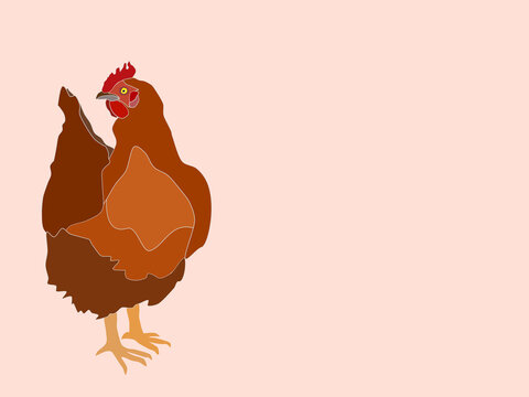 big brown domestic chiken vector image illustration