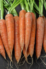 Top view of fresh organic bunch of carrots.Local market vegetables closeup view.