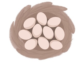 Eggs in the nest 