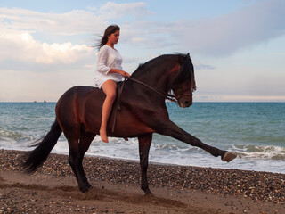 Joven amazona con vestido blanco domando a su caballo marron sin montura en la playa