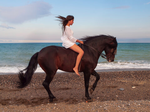 Joven amazona con vestido blanco domando a su caballo marron sin montura en la playa