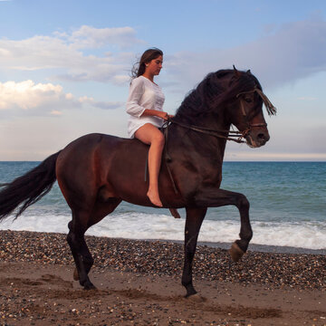 Joven amazona con vestido blanco domando a su caballo marron sin montura en la playa