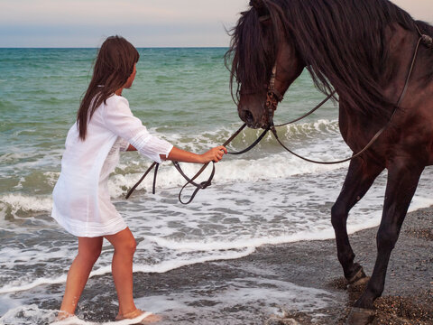 Joven amazona con vestido blanco domando a su caballo marron sin montura en la playa