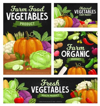 Fresh vegetable food chalkboard banners with cartoon veggies. Vector farm tomato, pepper or chilli, broccoli, cabbage and radish, cauliflower, zucchini and pumpkin, eggplant, potato and asparagus