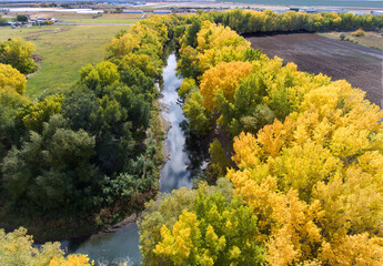 Utah landscape
Fall landscape and river
yellow fall leaves and a river
stream
river
yellow trees and river
