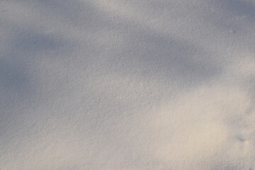 Fototapeta premium Snow. Texture