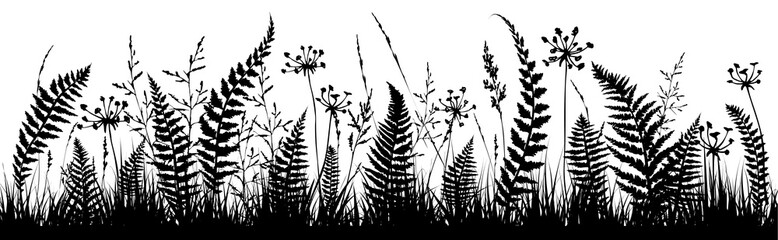 Background with fern leaf silhouettes and herbs. Floral background. - obrazy, fototapety, plakaty