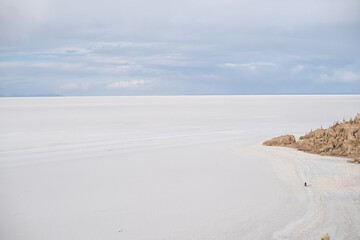 Fototapeta na wymiar View of cactus covering Isla del Pescado (Isla Incahuasi) with the Uyuni Salt Flat in Bolivia.