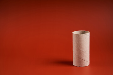 An empty cardboard toilet paper tube close up