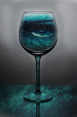 Shark in a glass