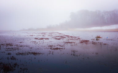 Fototapeta premium Foggy Landscape over the Flooded Cranberry Bog and Forest on Cape Cod, Massachusetts