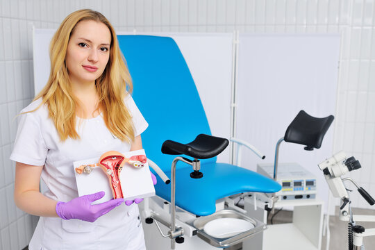 young attractive female gynecologist with a model of the uterus and ovaries in her hands against the background of a gynecological chair in a modern clinic. Women's health.