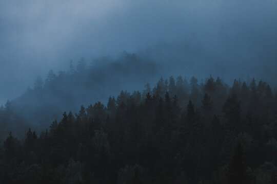Foggy blues over tree-covered mountains in northern sweden
