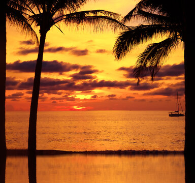 Sunset with palm and longtail boats on tropical beach.  beautiful tropical beach view sunset with palm tree and boat. Pukhet island, Thailand