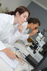 Naklejka premium two female scientist in lab