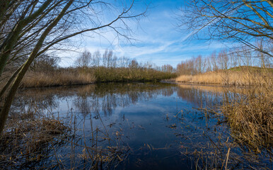 The beauty of silence of a small lake in nature reserve 
