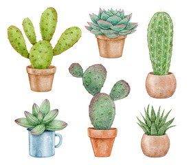 Watercolor cacti and succulents in pots watercolor illustration on a white background