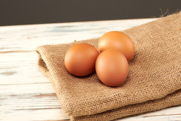chicken egg shot close-up in the studio