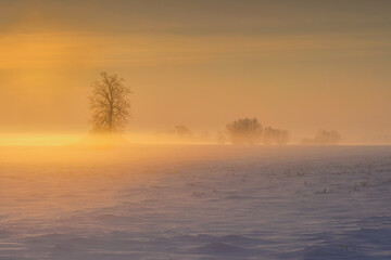 Fototapeta na wymiar Winter rural landscape, Poland around Malbork, Sunrise