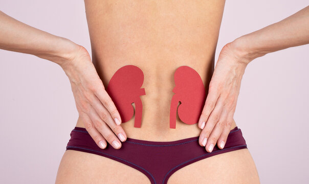 World kidney day. Loin spasm. Young woman body. Spine and kidney inflammation, pain and therapy. Woman in lingerie massaging pain back.