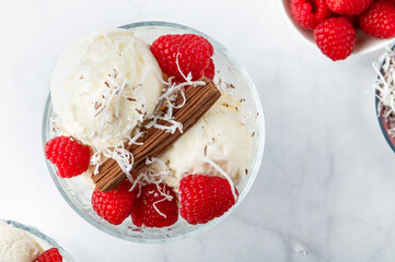 Vanilla Ice Cream Scoops with raspberries and chocolate sticks, easy dessert at home