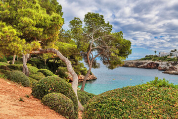 Fototapeta premium Trees on the slope of mountain against the blue sky.