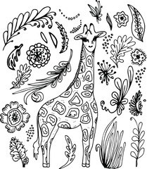 Cute giraffe hand drawn vector illustration. Сartoon character. Exotic animal with long neck in floral frame isolated on white background. Childish t shirt print design