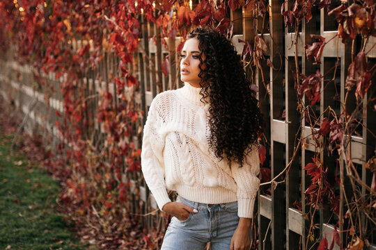 In the park at the wooden wall of twisted red ivy poses a girl in a white sweater and jeans. High quality photo