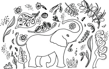 Cute elephant hand-drawn vector illustration. Funny cartoon character in black and white. An exotic animal in a floral frame isolated on a white background. Children's T-shirt design with print.