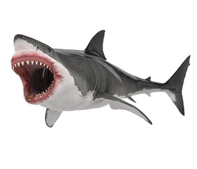 Fototapeta premium Great White Shark Isolated