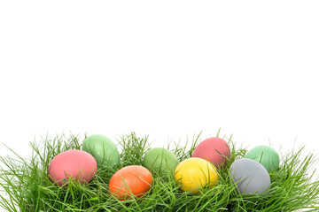 Colorful easter eggs green grass white background