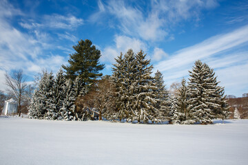 Winter skies after fresh snow. Sidney, NY. 
